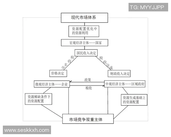 杭州篮球队运营革新探索：从管理模式到市场营销的全方位升级之路