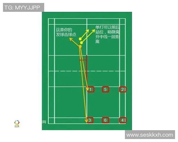 杭州羽毛球队运营模式解析及其在羽毛球热点中的影响力探讨