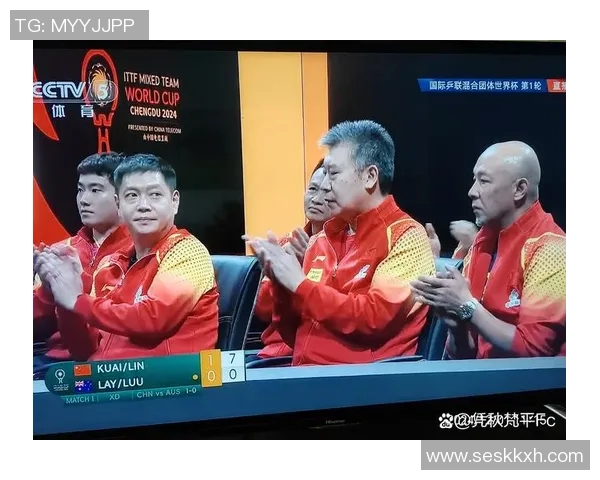 武汉乒乓球队的整体压制之道与深度解析乒乓球运动的魅力与挑战