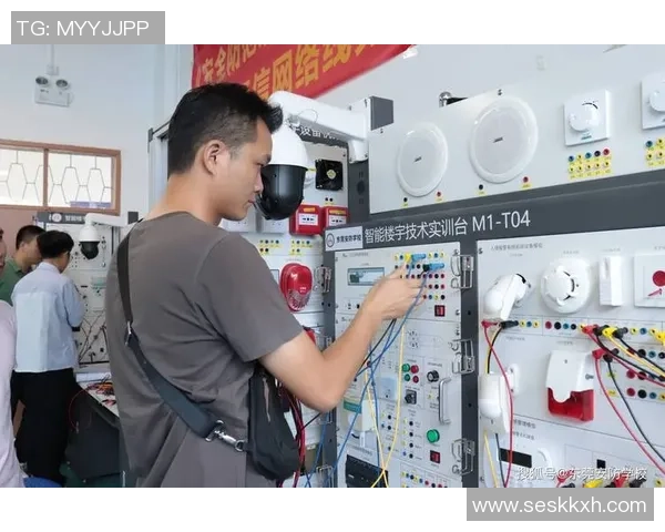 专业解读：TES的转换打法