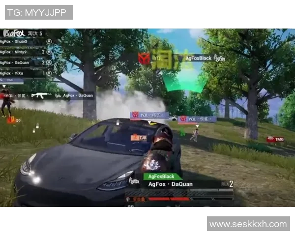 2026和平精英技术排行榜：RNG位居第2名