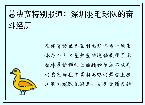 总决赛特别报道：深圳羽毛球队的奋斗经历