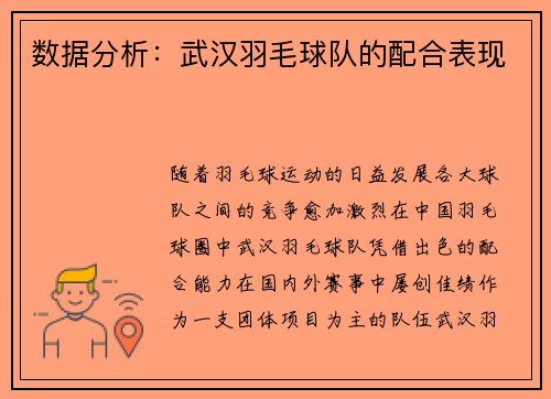 数据分析：武汉羽毛球队的配合表现